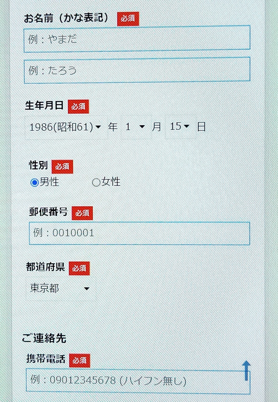 フォートラベル GLOBAL WiFi　申し込み手順3