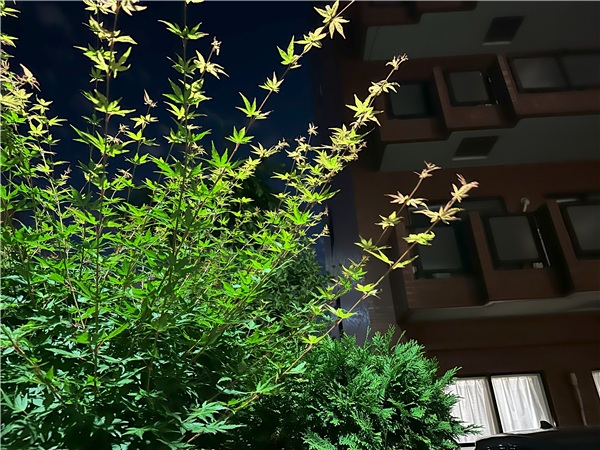 iPhone 14 Pro　レビュー　夜景画像