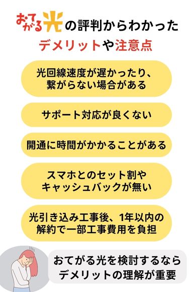 おてがる光 評判