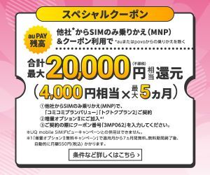 UQモバイル スペシャルクーポン au PAY残高4,000円相当×最大5ヵ月 合計最大20,000円相当還元