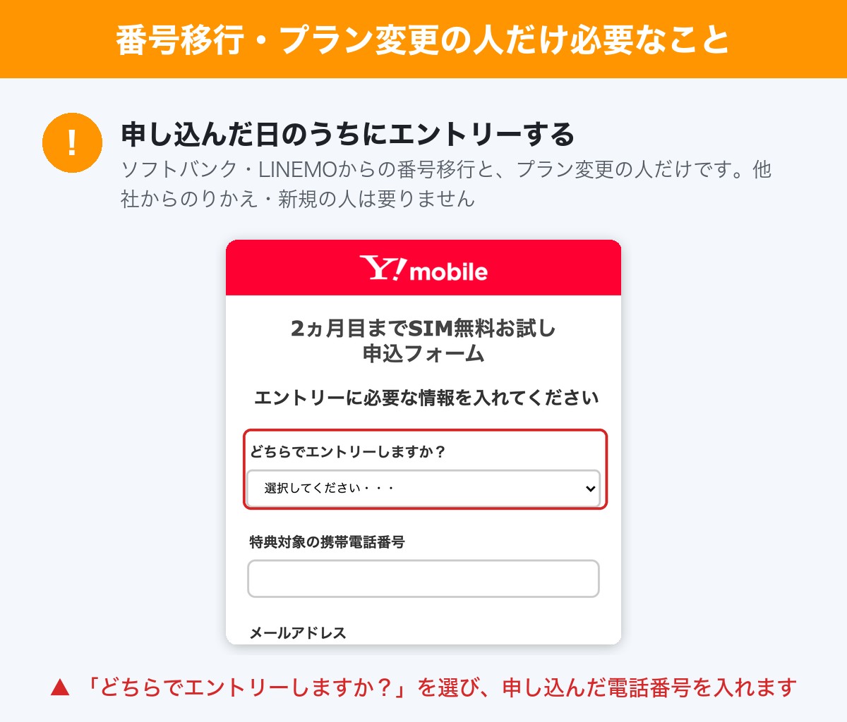 番号移行とプラン変更の人が申し込んだ日に入力するエントリーの申込フォーム